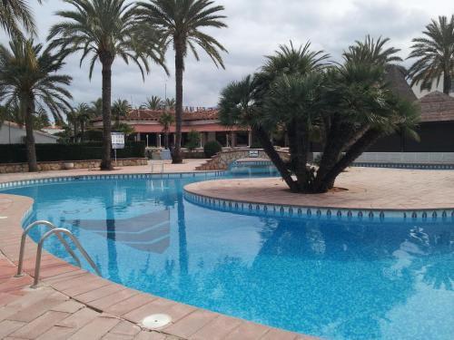 El Palmar * Denia